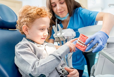 a child pointing at a model of a mouth