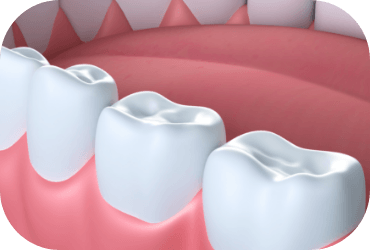 Illustrated row of teeth